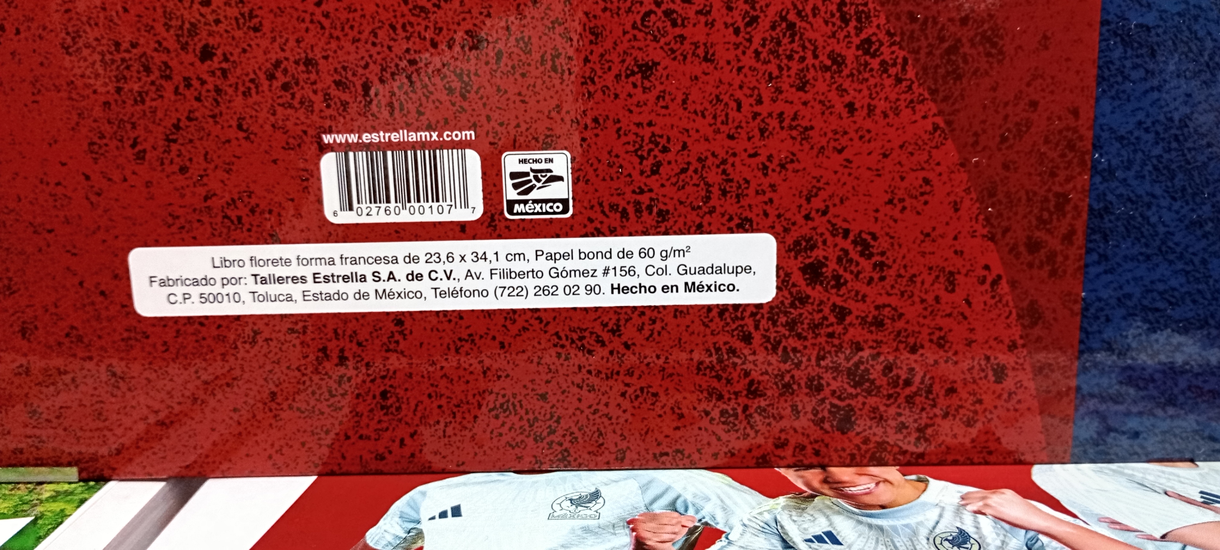 LIBRO FLORETE FRANCéS MAYOR O CAJA 96 HOJAS